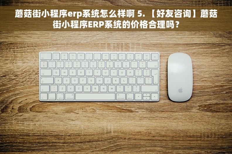 蘑菇街小程序erp系统怎么样啊 5. 【好友咨询】蘑菇街小程序ERP系统的价格合理吗？