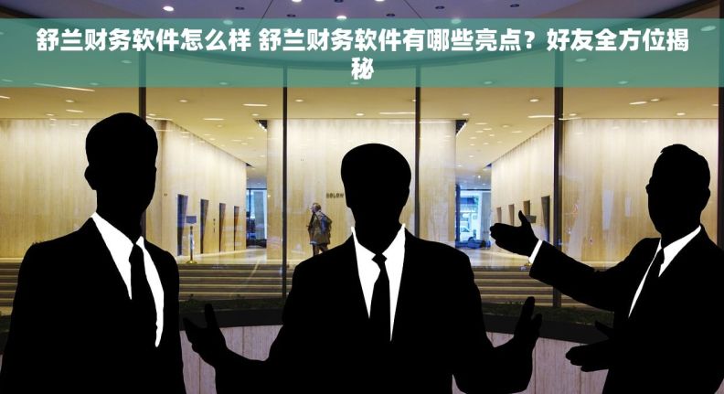 舒兰财务软件怎么样 舒兰财务软件有哪些亮点？好友全方位揭秘