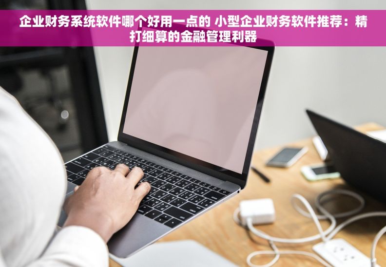 企业财务系统软件哪个好用一点的 小型企业财务软件推荐：精打细算的金融管理利器