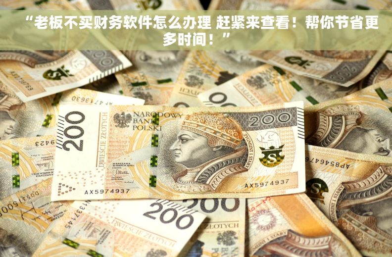 “老板不买财务软件怎么办理 赶紧来查看！帮你节省更多时间！”