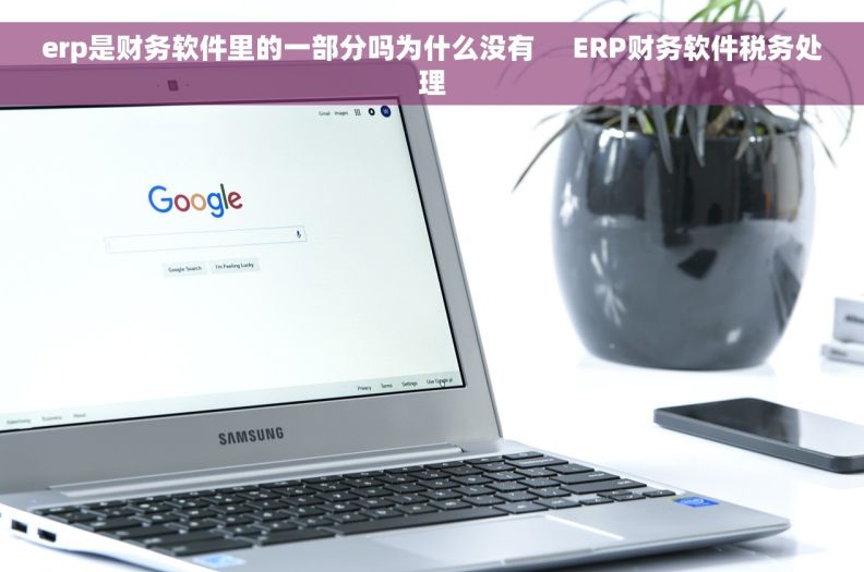 erp是财务软件里的一部分吗为什么没有     ERP财务软件税务处理
