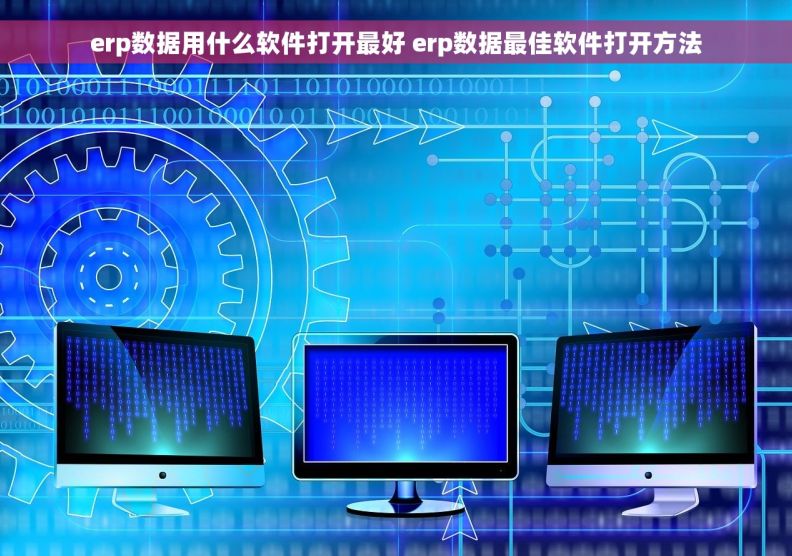 erp数据用什么软件打开最好 erp数据最佳软件打开方法