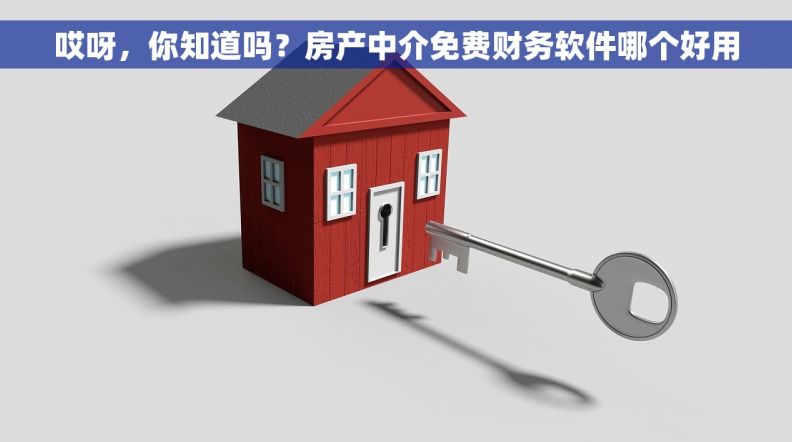 哎呀，你知道吗？房产中介免费财务软件哪个好用