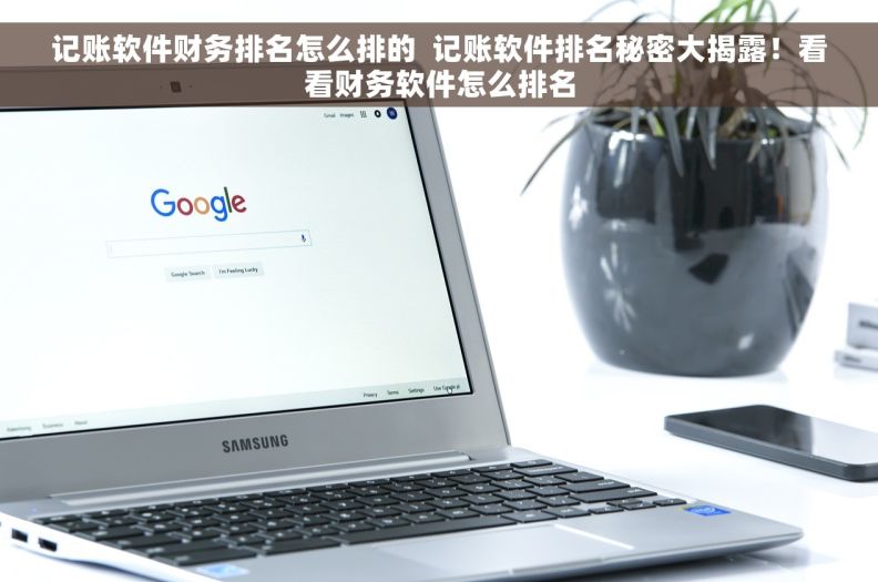 记账软件财务排名怎么排的  记账软件排名秘密大揭露！看看财务软件怎么排名
