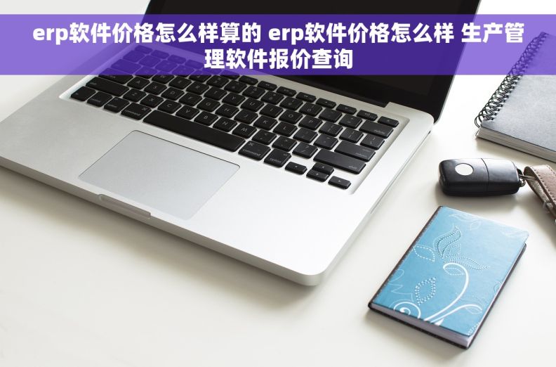 erp软件价格怎么样算的 erp软件价格怎么样 生产管理软件报价查询