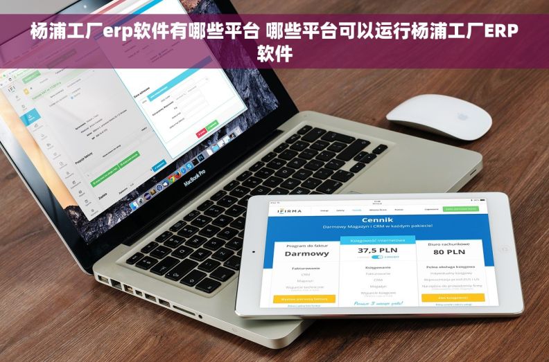 杨浦工厂erp软件有哪些平台 哪些平台可以运行杨浦工厂ERP软件
