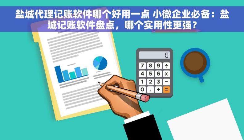 盐城代理记账软件哪个好用一点 小微企业必备：盐城记账软件盘点，哪个实用性更强？
