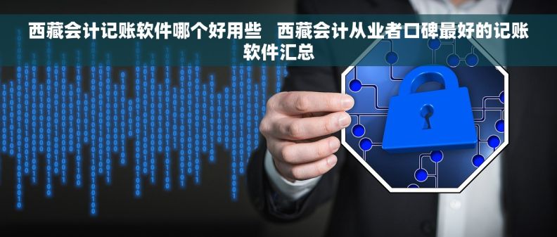西藏会计记账软件哪个好用些   西藏会计从业者口碑最好的记账软件汇总