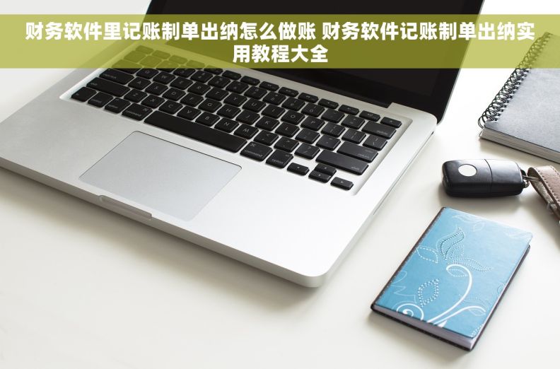财务软件里记账制单出纳怎么做账 财务软件记账制单出纳实用教程大全