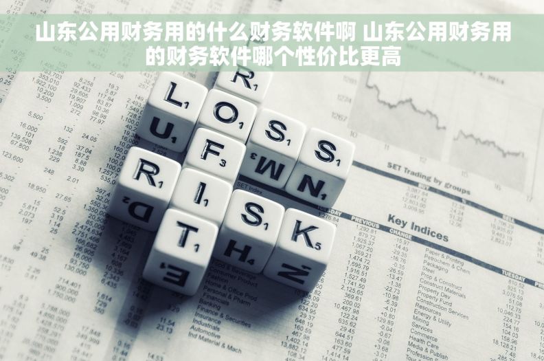 山东公用财务用的什么财务软件啊 山东公用财务用的财务软件哪个性价比更高
