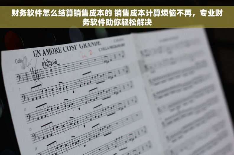 财务软件怎么结算销售成本的 销售成本计算烦恼不再，专业财务软件助你轻松解决