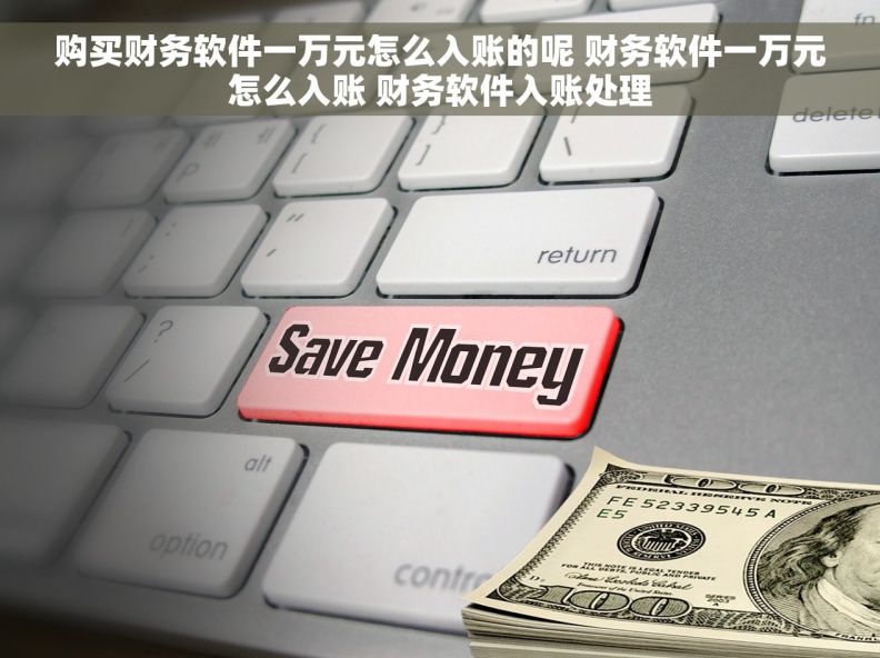 购买财务软件一万元怎么入账的呢 财务软件一万元怎么入账 财务软件入账处理