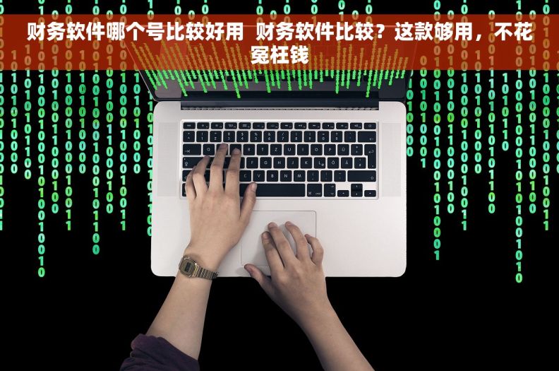 财务软件哪个号比较好用  财务软件比较？这款够用，不花冤枉钱
