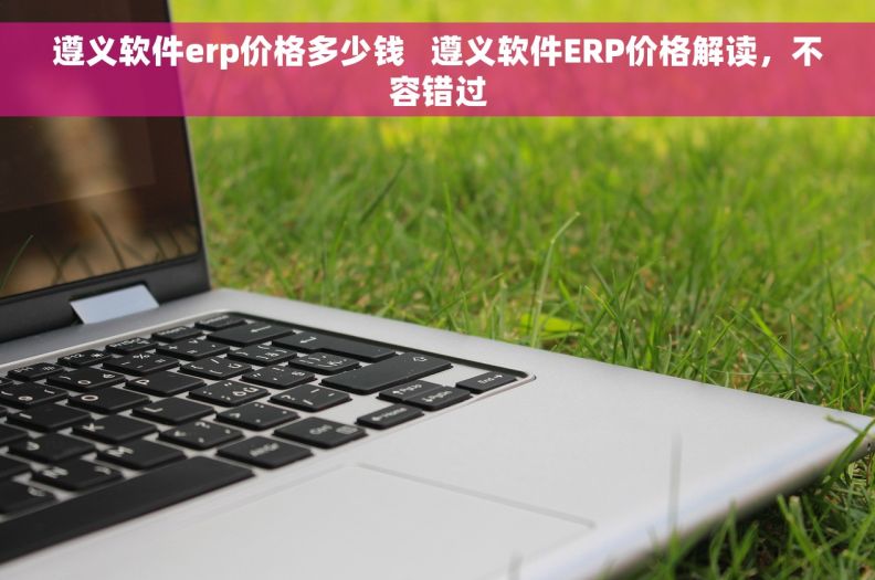遵义软件erp价格多少钱   遵义软件ERP价格解读，不容错过