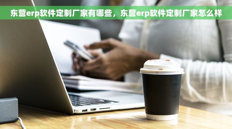 东营erp软件定制厂家有哪些，东营erp软件定制厂家怎么样