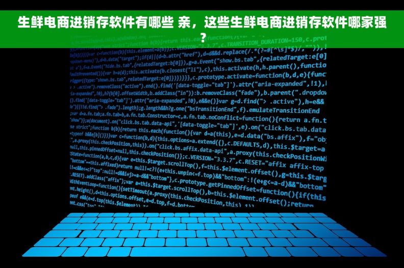 生鲜电商进销存软件有哪些 亲，这些生鲜电商进销存软件哪家强？