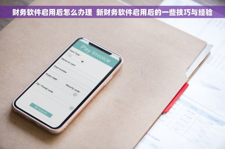 财务软件启用后怎么办理  新财务软件启用后的一些技巧与经验