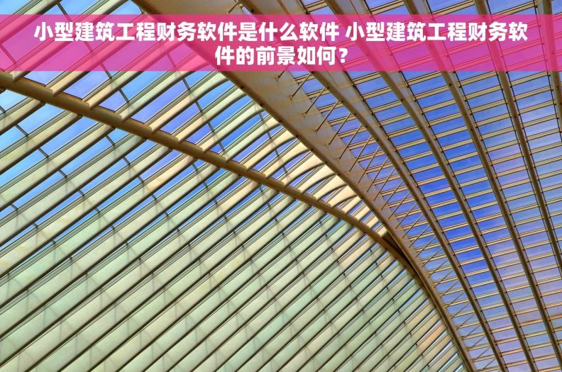 小型建筑工程财务软件是什么软件 小型建筑工程财务软件的前景如何？