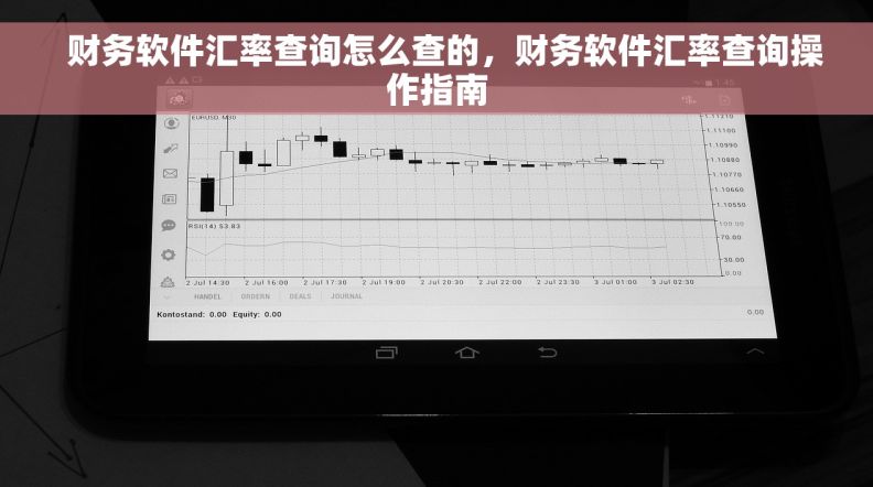   财务软件汇率查询怎么查的，财务软件汇率查询操作指南