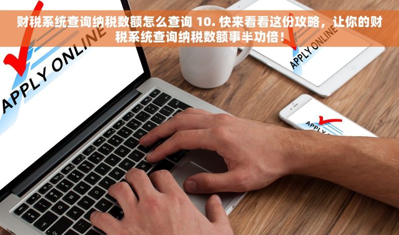 财税系统查询纳税数额怎么查询 10. 快来看看这份攻略，让你的财税系统查询纳税数额事半功倍！