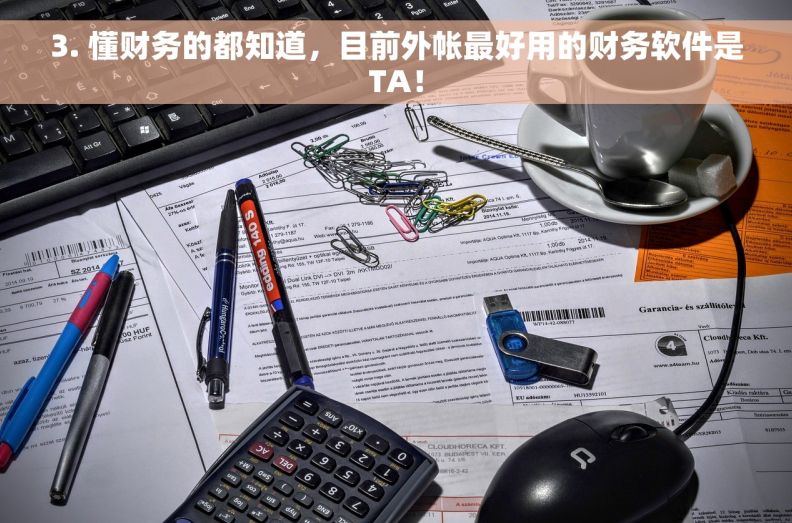 3. 懂财务的都知道，目前外帐最好用的财务软件是TA！
