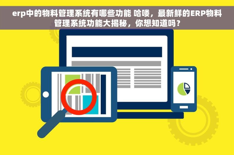 erp中的物料管理系统有哪些功能 哈喽，最新鲜的ERP物料管理系统功能大揭秘，你想知道吗？