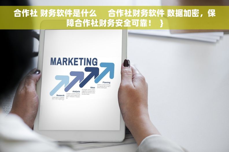 合作社 财务软件是什么     合作社财务软件 数据加密，保障合作社财务安全可靠！  }