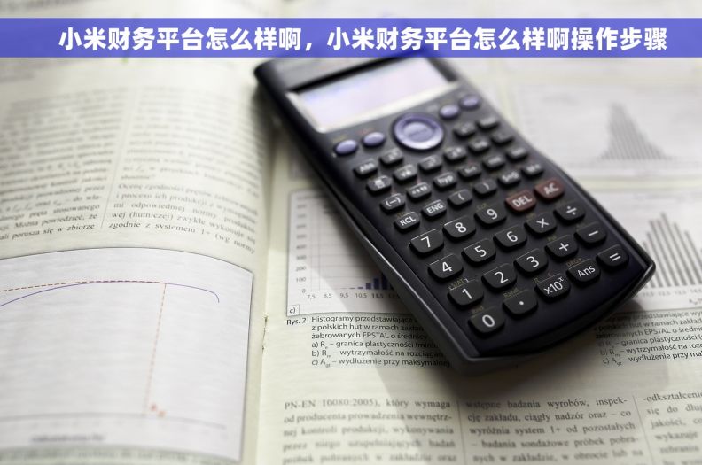    小米财务平台怎么样啊，小米财务平台怎么样啊操作步骤