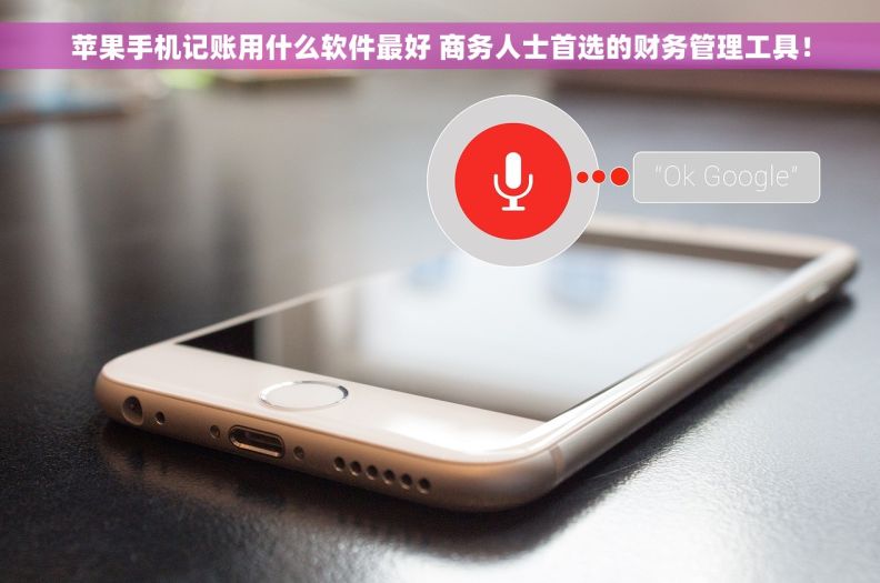 苹果手机记账用什么软件最好 商务人士首选的财务管理工具！