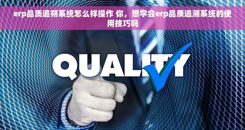 erp品质追朔系统怎么样操作 你，想学会erp品质追溯系统的使用技巧吗