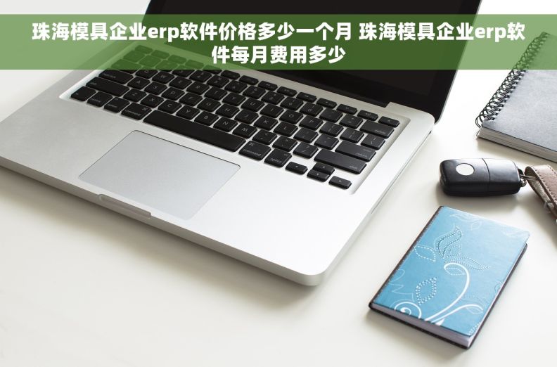 珠海模具企业erp软件价格多少一个月 珠海模具企业erp软件每月费用多少