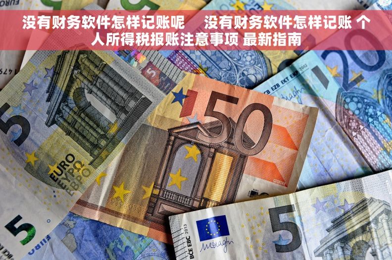 没有财务软件怎样记账呢     没有财务软件怎样记账 个人所得税报账注意事项 最新指南