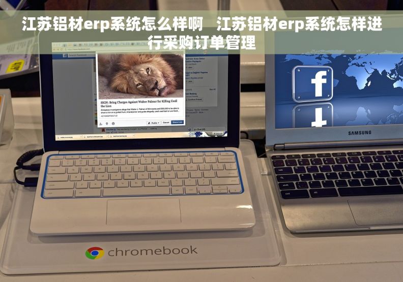江苏铝材erp系统怎么样啊   江苏铝材erp系统怎样进行采购订单管理