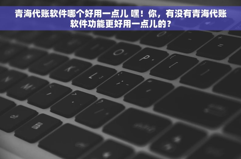 青海代账软件哪个好用一点儿 嘿！你，有没有青海代账软件功能更好用一点儿的？