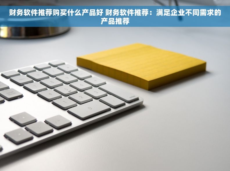 财务软件推荐购买什么产品好 财务软件推荐：满足企业不同需求的产品推荐