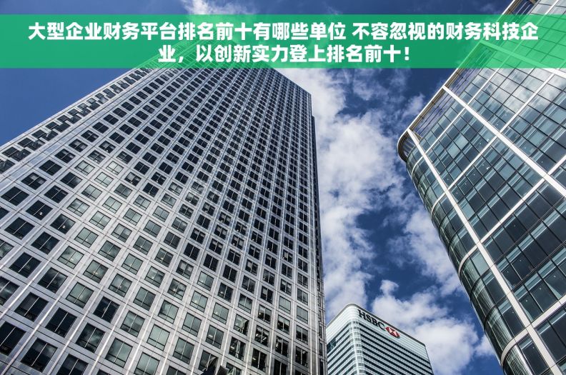 大型企业财务平台排名前十有哪些单位 不容忽视的财务科技企业，以创新实力登上排名前十！