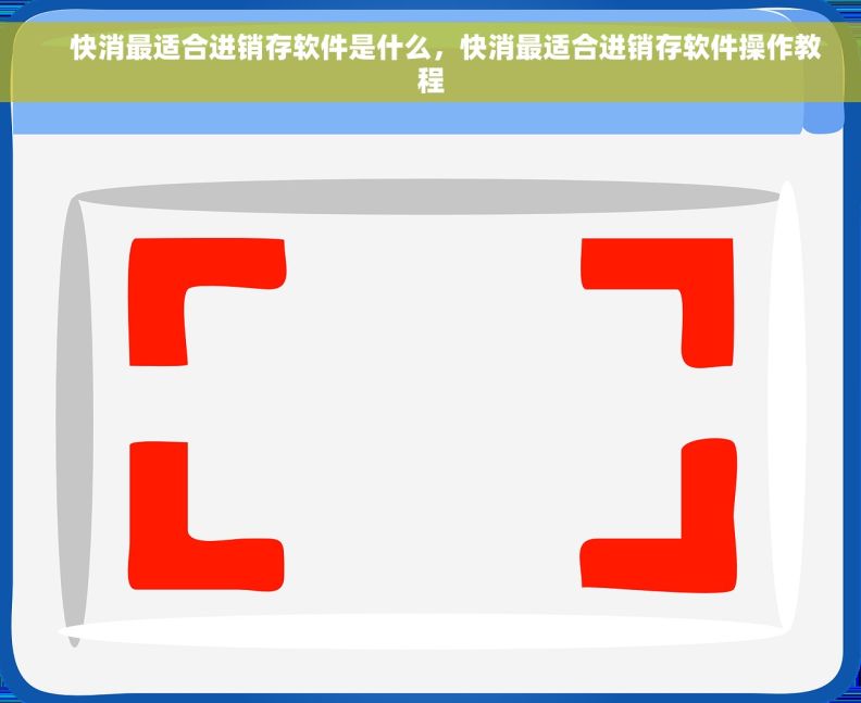     快消最适合进销存软件是什么，快消最适合进销存软件操作教程