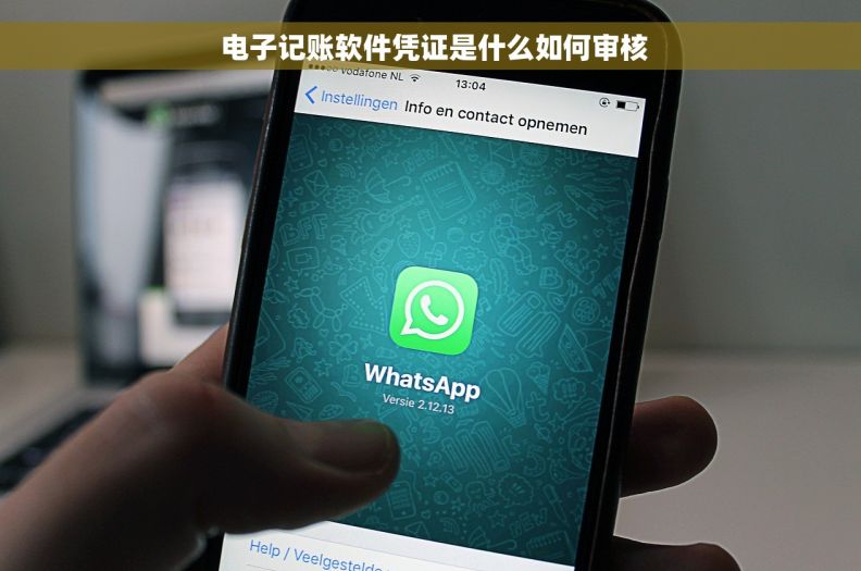  电子记账软件凭证是什么如何审核