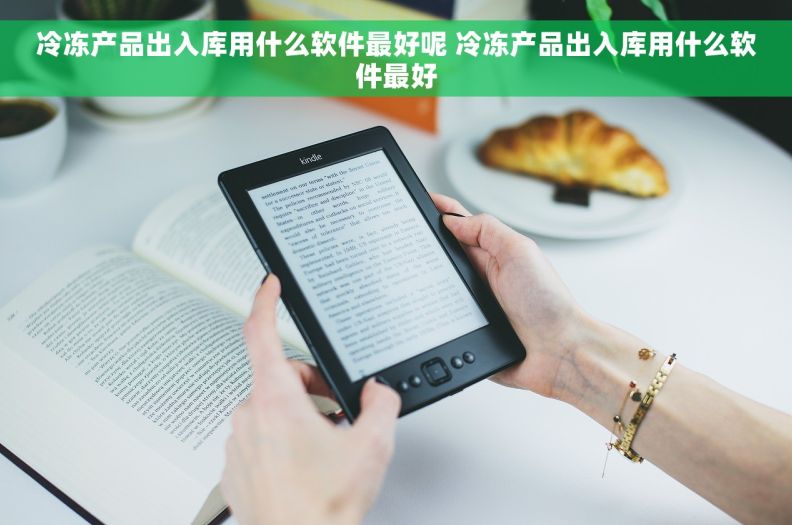 冷冻产品出入库用什么软件最好呢 冷冻产品出入库用什么软件最好