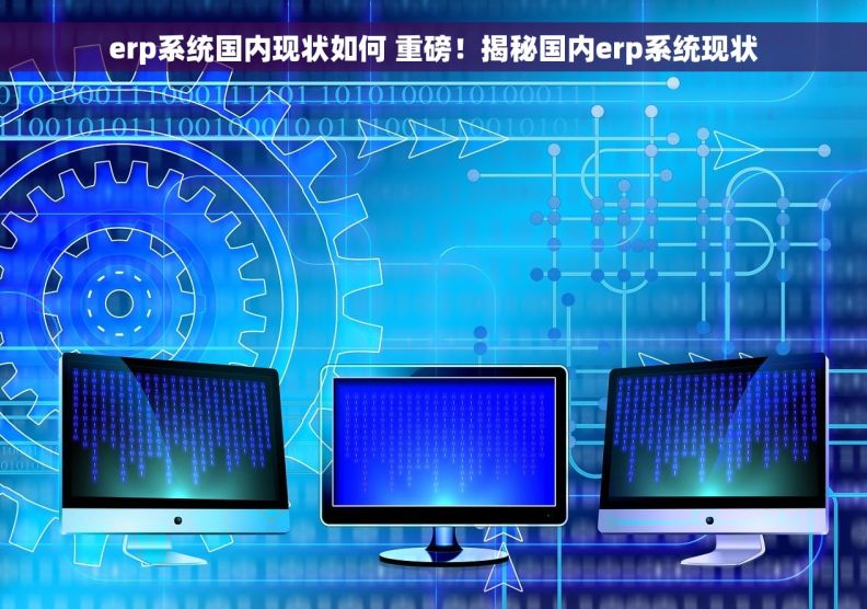 erp系统国内现状如何 重磅！揭秘国内erp系统现状