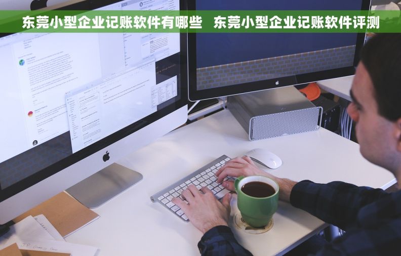 东莞小型企业记账软件有哪些   东莞小型企业记账软件评测