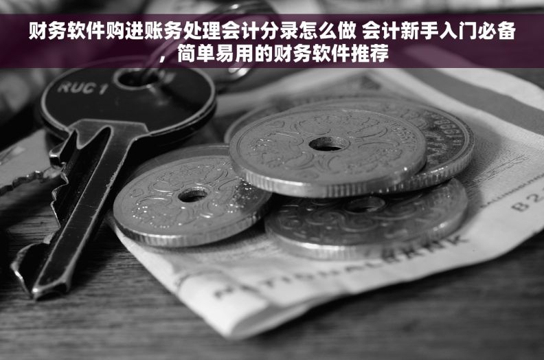 财务软件购进账务处理会计分录怎么做 会计新手入门必备，简单易用的财务软件推荐
