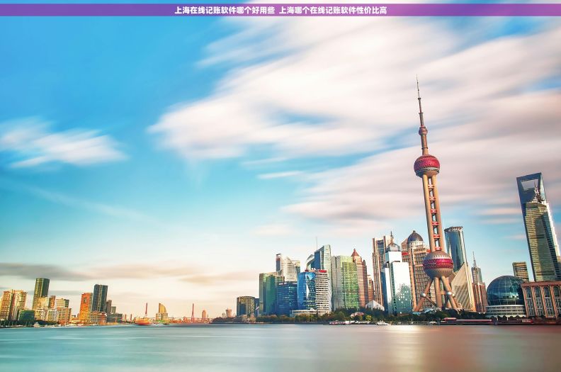 上海在线记账软件哪个好用些  上海哪个在线记账软件性价比高