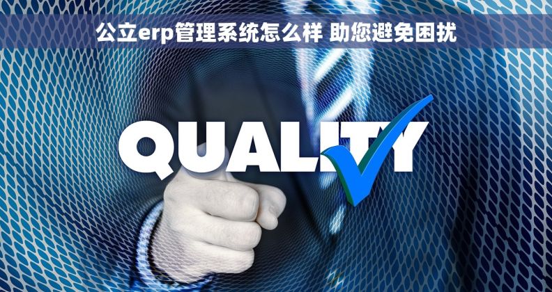 公立erp管理系统怎么样 助您避免困扰
