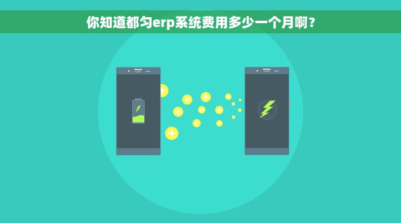 你知道都匀erp系统费用多少一个月啊？