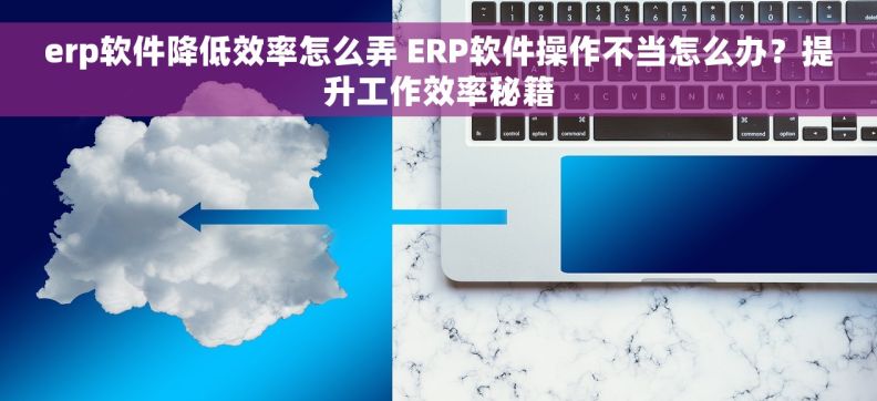 erp软件降低效率怎么弄 ERP软件操作不当怎么办？提升工作效率秘籍