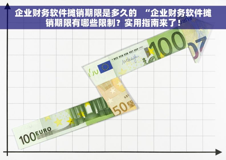 企业财务软件摊销期限是多久的  “企业财务软件摊销期限有哪些限制？实用指南来了！