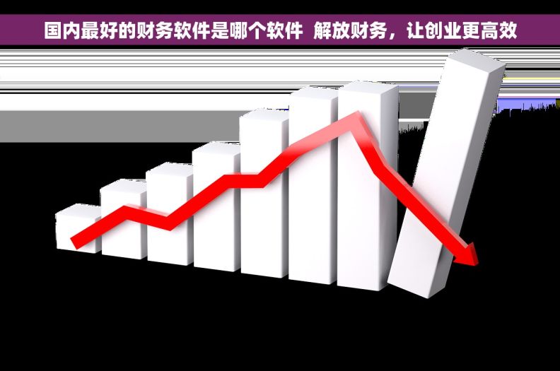 国内最好的财务软件是哪个软件  解放财务，让创业更高效