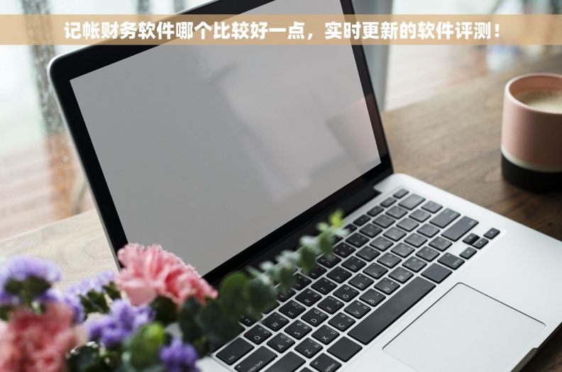 记帐财务软件哪个比较好一点，实时更新的软件评测！