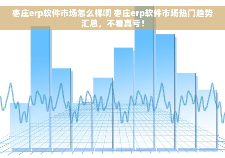 枣庄erp软件市场怎么样啊 枣庄erp软件市场热门趋势汇总，不看真亏！